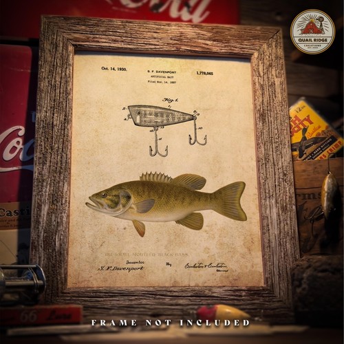 Vintage creek chub pesca - chub,
