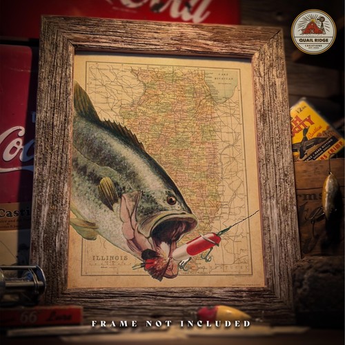Vintage illinois mappa - vintage,