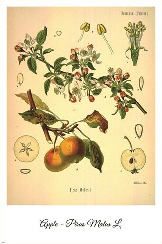 Poster arte illustrazione - poster,